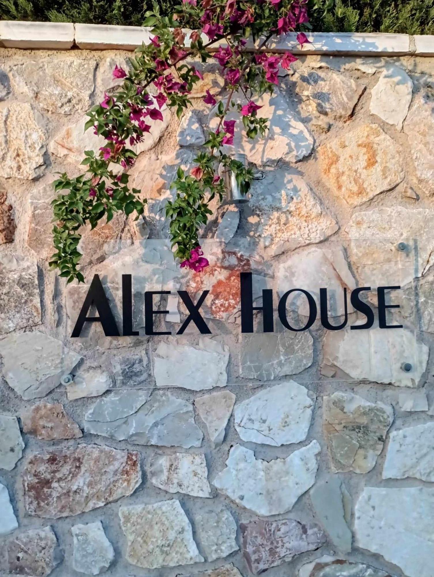 Alex House Aparthotel Zacharo Exterior photo